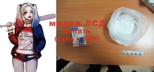 хмурый Верея