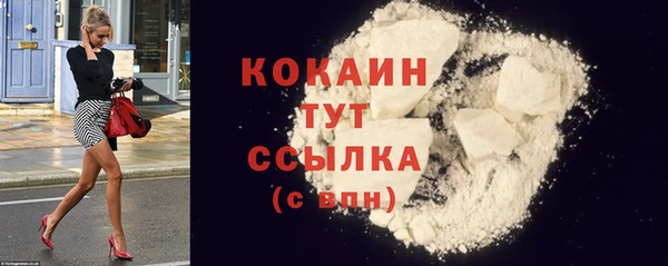 хмурый Верея