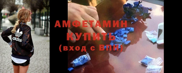 хмурый Верея