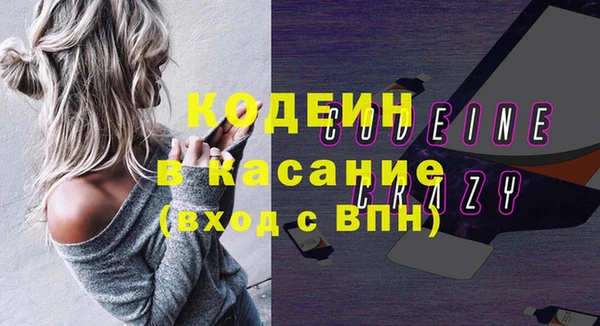 хмурый Верея