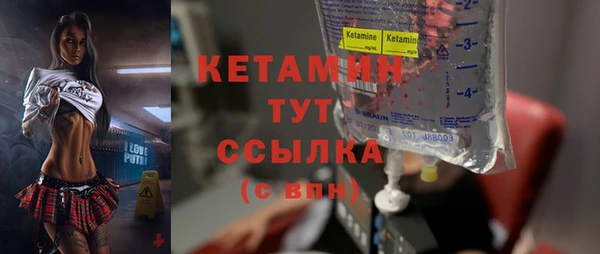 хмурый Верея
