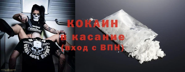 хмурый Верея