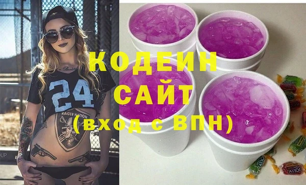 хмурый Верея