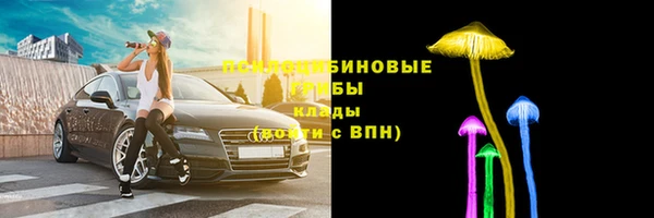 хмурый Верея