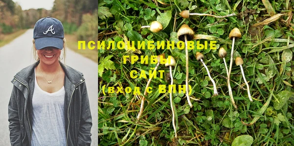 хмурый Верея