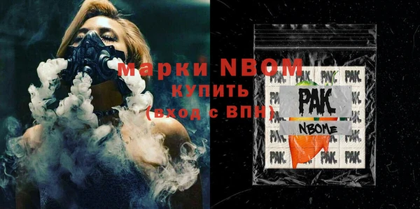 хмурый Верея