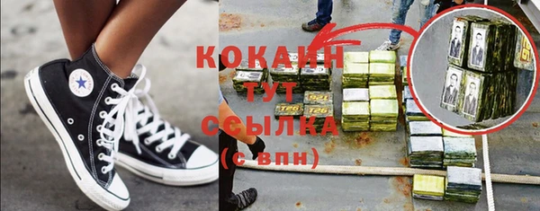 хмурый Верея